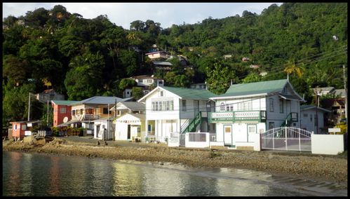 TOBAGO Charlotteville (16)