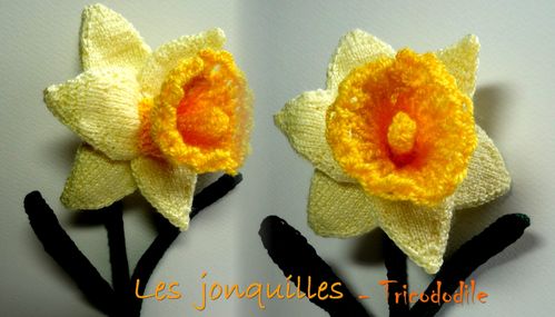 tricoter des jonquilles les jonquilles en tricot