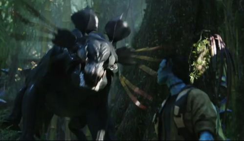 bestiole-avatar.jpg
