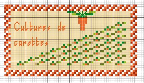 CAROTTES