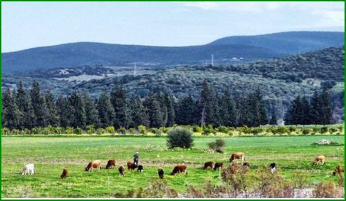 oued frarah
