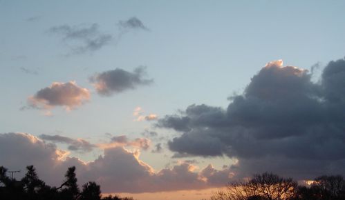 DSC07458.JPG