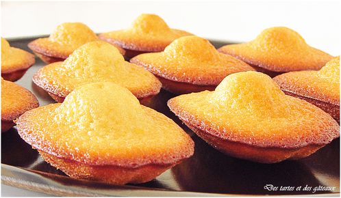 Madeleines 2