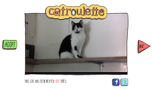 catroulette2.png