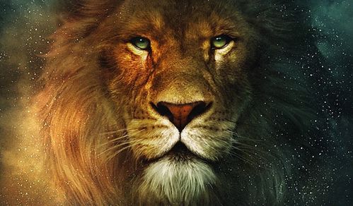 narnia-lion-aslan-c-s-lewis.jpg