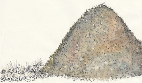 elisa-3.jpg