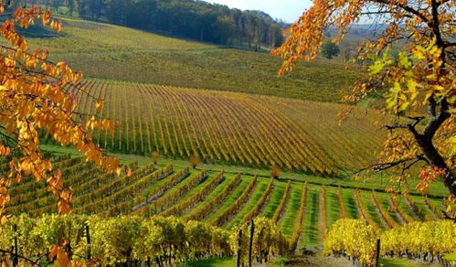 20120924141613 vignoble de Bergerac