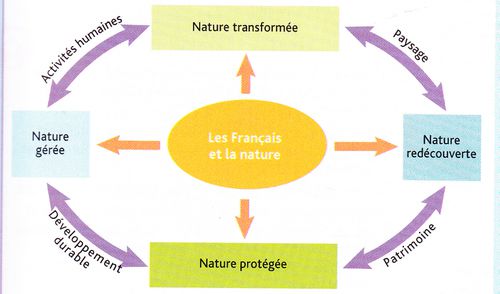 Organigramme-valoriser-et-menager-les-milieux.jpg