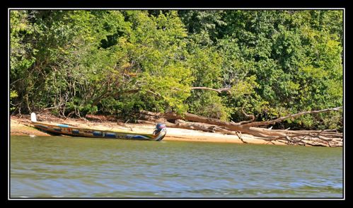 Tembe017
