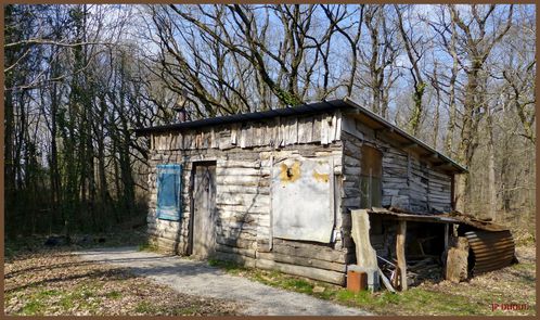 MA CABANE.....EN BOURBONNAIS