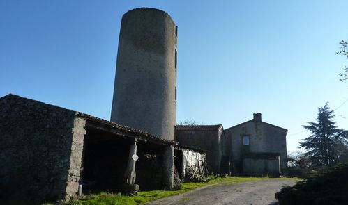 2013 02 21 marcheur jeudi paysage rec.0002