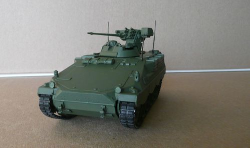Marder-002-copie-1.JPG