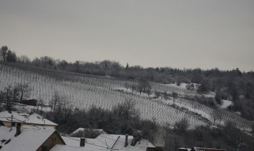 Neige-11.jpg