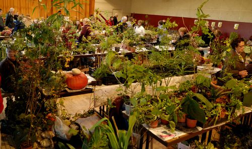Anneville Marché jardiniers 2010 H