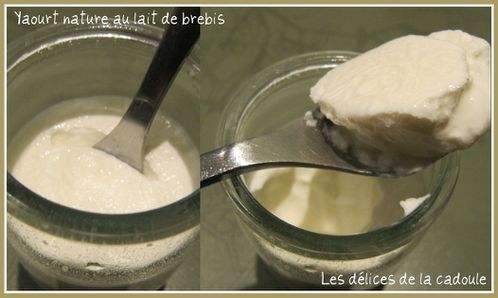 yaourts-au-lait-de-brebis-les-delices-de-la-cadoule-1.jpg