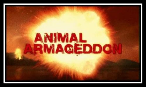Animal_Armageddon.jpg