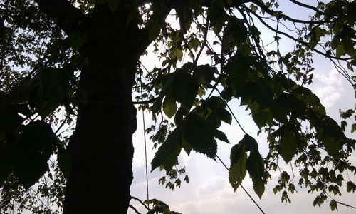 Foto0038