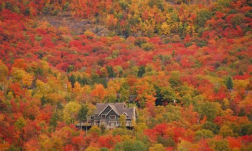 Automne-au-Quebec.jpeg