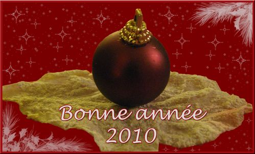 bonne-annee-2010.jpg
