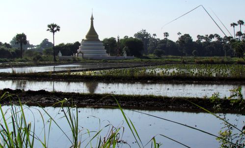birmanie 400