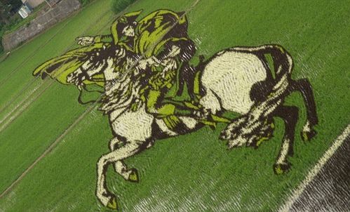 image 010