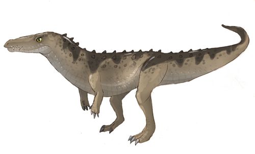 ornithosuchus.jpg