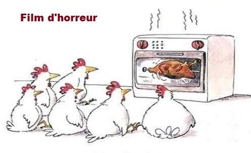 http://img.over-blog.com/500x304/4/21/05/77/Humour/film-d-horreur_1.jpg