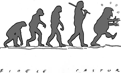 EVOLUTION--TOUT-A-UNE-FIN--jpg