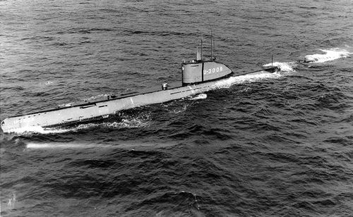 L'intrus du Golfo Nuevo ( U3008