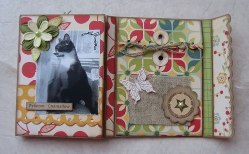 Mini-album ouvert 1