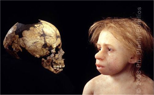 Neandertal Enfant Daynes 03