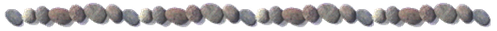 Image1de-roche-pour-separateur.png