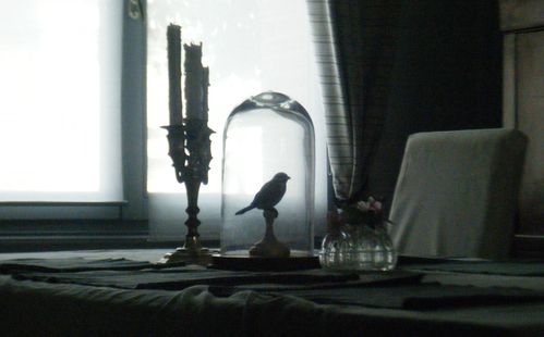 globe oiseau table
