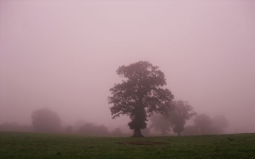 SAM_1215.JPG