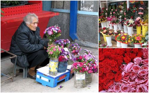 1-8 MARS 2013