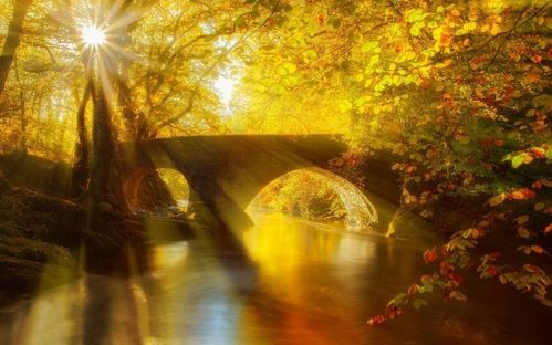 saison automne lumiere