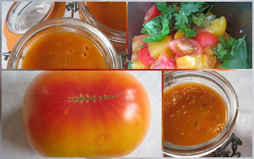 bocaux-de-sauce-tomates.jpg