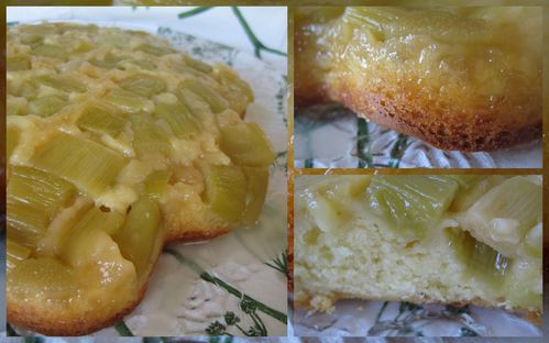 gateau-a-la-rhubarbe.jpg