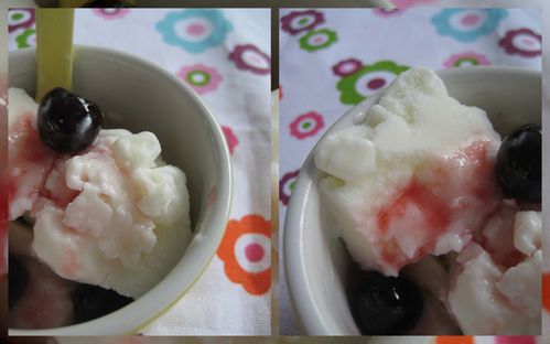 glace-au-lait-fermente.jpg
