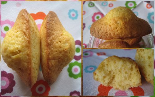 madeleines.jpg