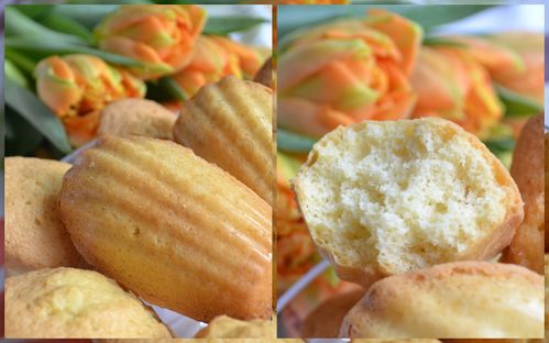 madeleines-legeres.jpg