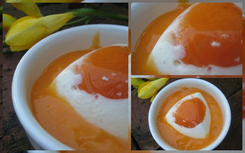 terrinette-d-abricot-au-yaourt.jpg