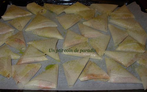 samoussas-poulet-poivrons.2.jpg