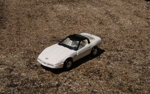 1999-copie-3.JPG