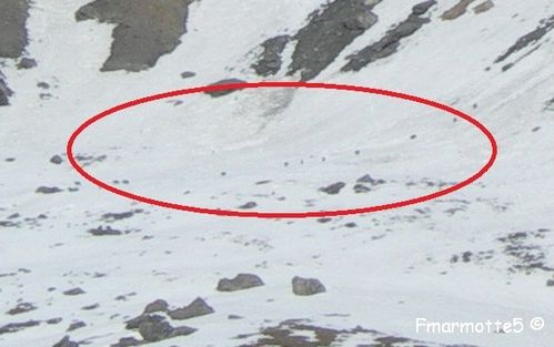 Chamois au Clot des chamois zoom