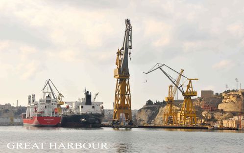 GREAT-HARBOUR.jpg