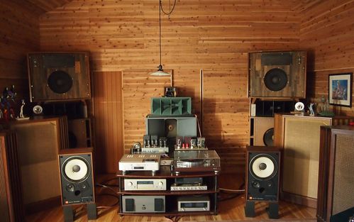 20111231hanchanAVroom.jpg
