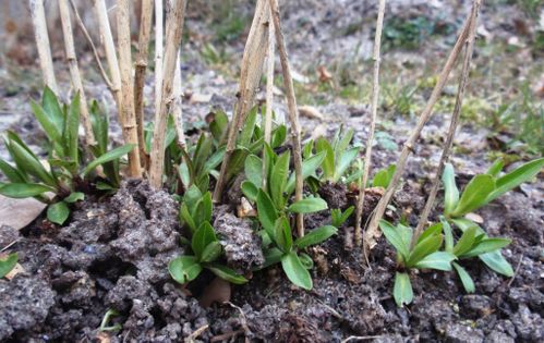 2010-03-14-Carroir002-small.JPG