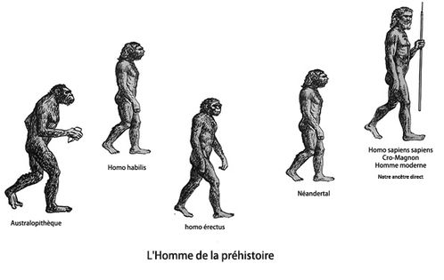 evolution1