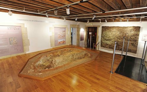 Four-a-sel-du-VIIIeme-s.-av.-J-C-presente-au-musee-c-.jpg